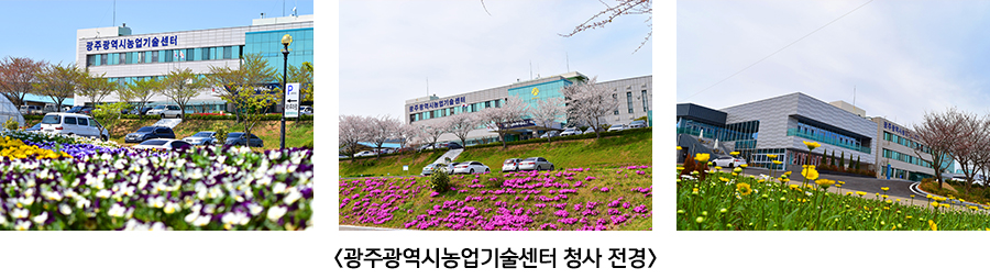 광주광역시농업기술센터 청사 전경