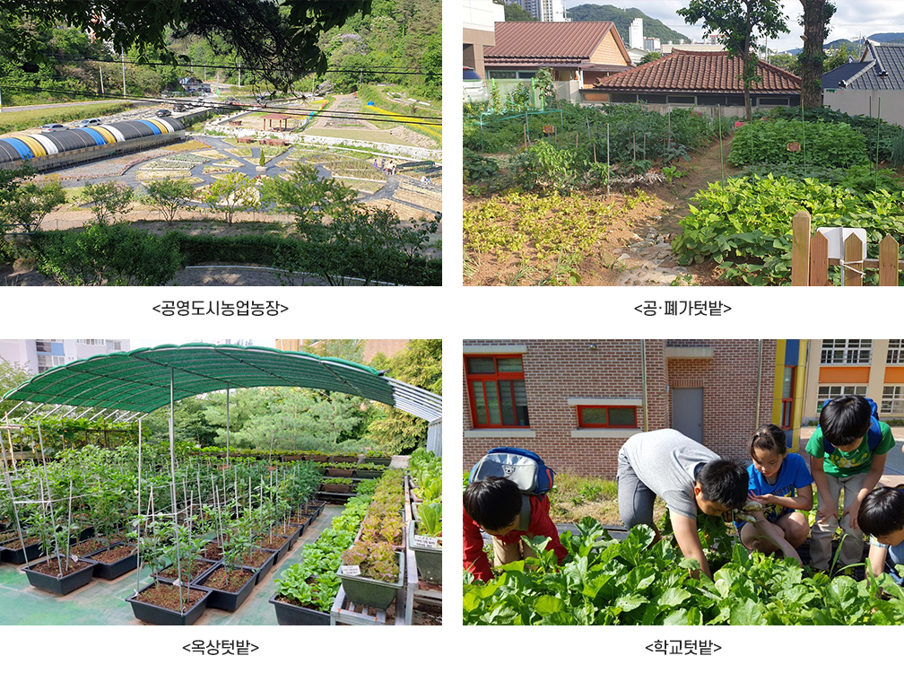 공영도시농업농장, 공폐가텃밭, 옥상텃밭, 학교텃밭