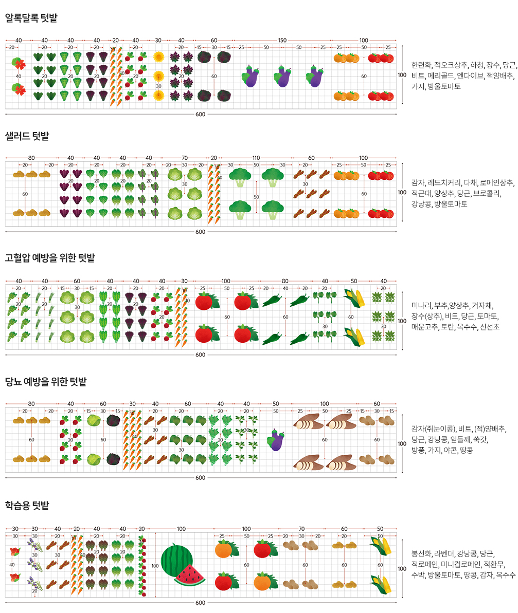 채소텃밭 채소:가지,고추,토마토,파,생강,참외,파슬리,시금치,완두콩,양배추,무,양파,마늘,당근,옥수수,딸기 / 채소+허브 채소:가지,고추,토마토,파슬리,케일,무 허브:오레가노,바질,민트,차이브,로즈마리,라벤더 / 채소+화훼 채소:가지,고추,파슬리,양배추,샐러리,양파,상추,비트,시금치 화훼:패튜니아,제라늄,한련화,매리골드 / 채소+허브+화훼 채소:가지,고추,토마토,시금치,양파 허브:바질,차이브,타임,오레가노 화훼:한련화,매리골드,제라늄 / 채소+허브+화훼+과수 채소:갓(겨자),도라지,양배추,당근,비트,브로콜리,상추,참외 허브:세이지,레몬밤,민트,캐모마일 화훼:매리골드,백일홍 과수:오미자,석류,포도,블루베리